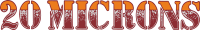 20 MICRONS