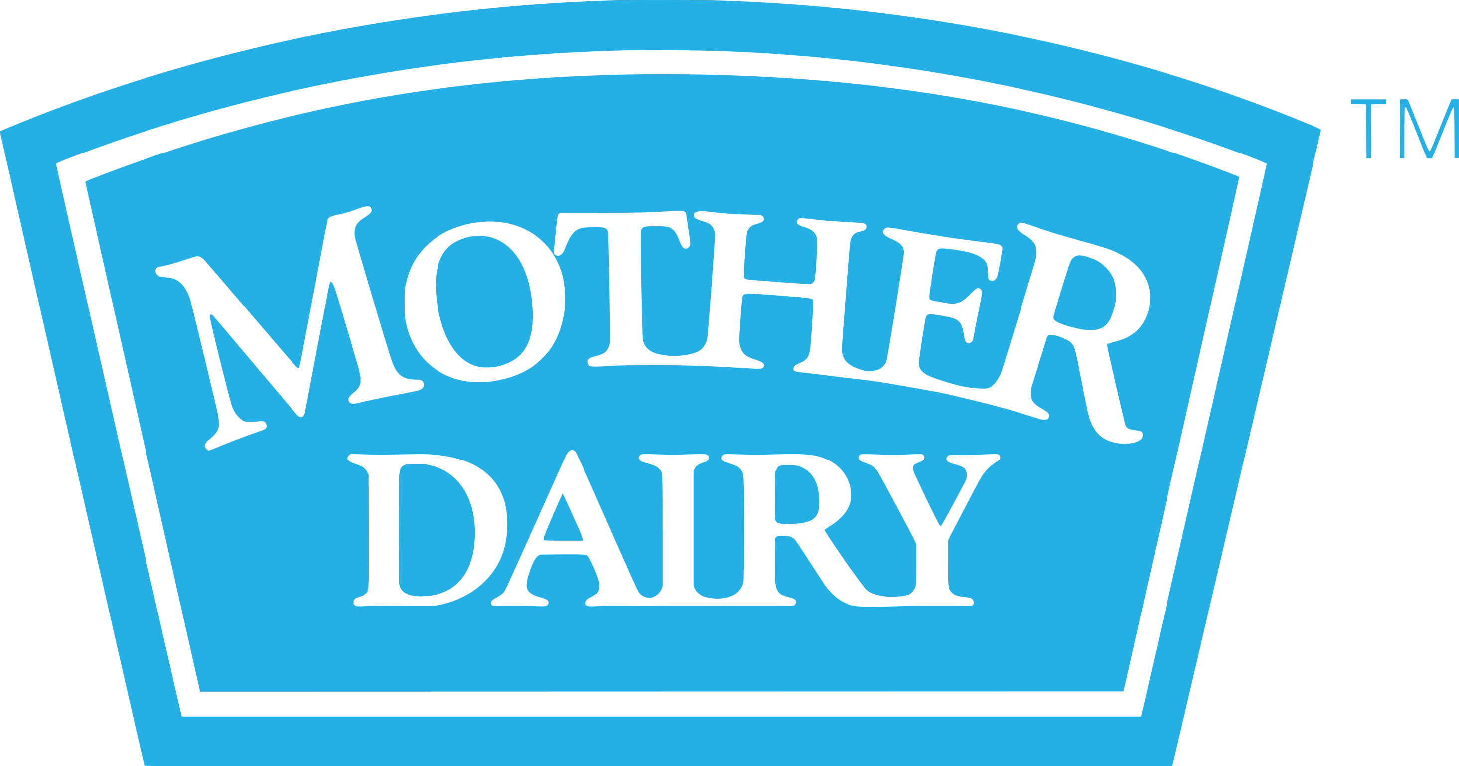 MOTHER DAIRY FOODS